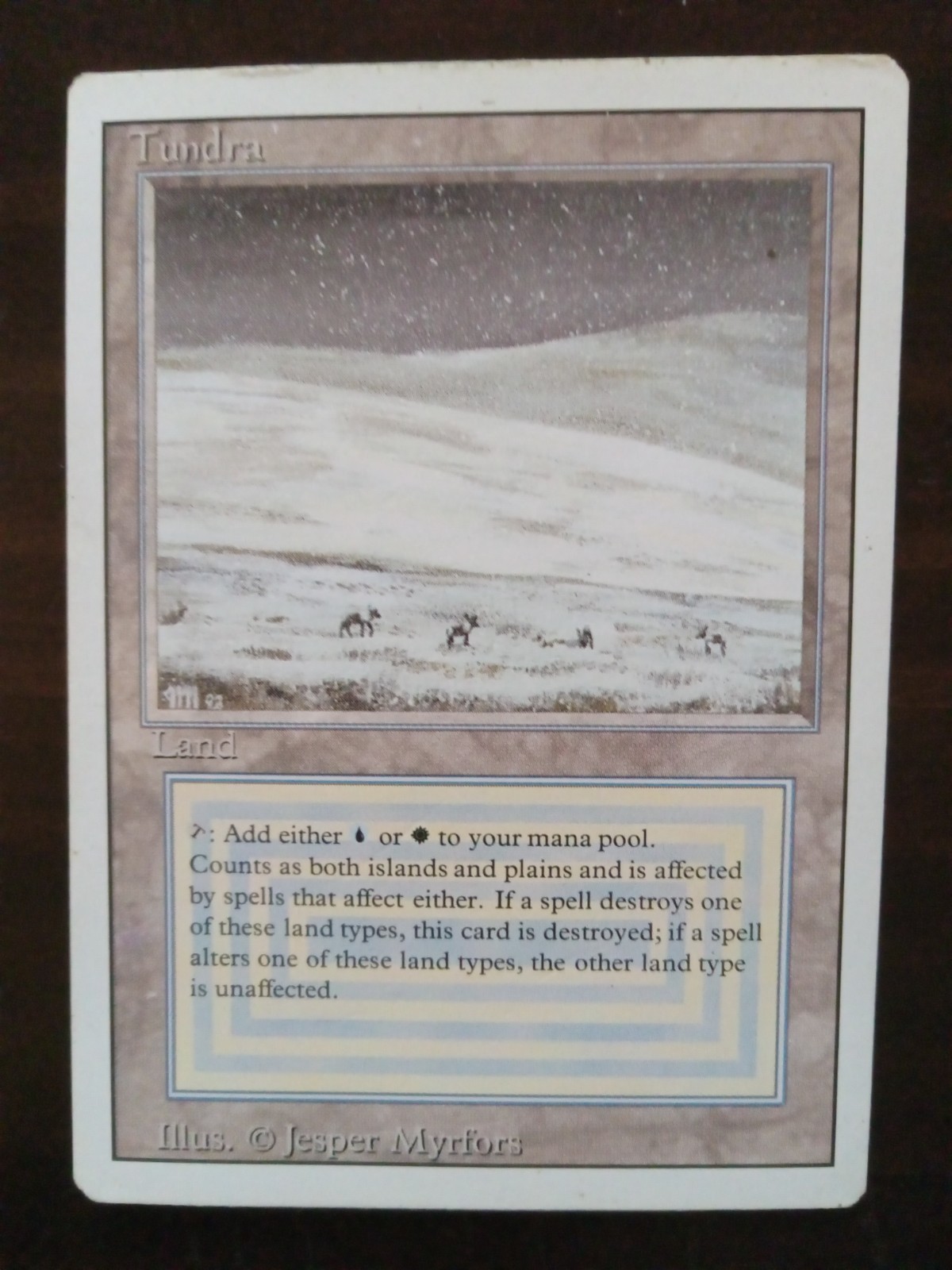 MTG Tundra Revised Edition - See picts for condition