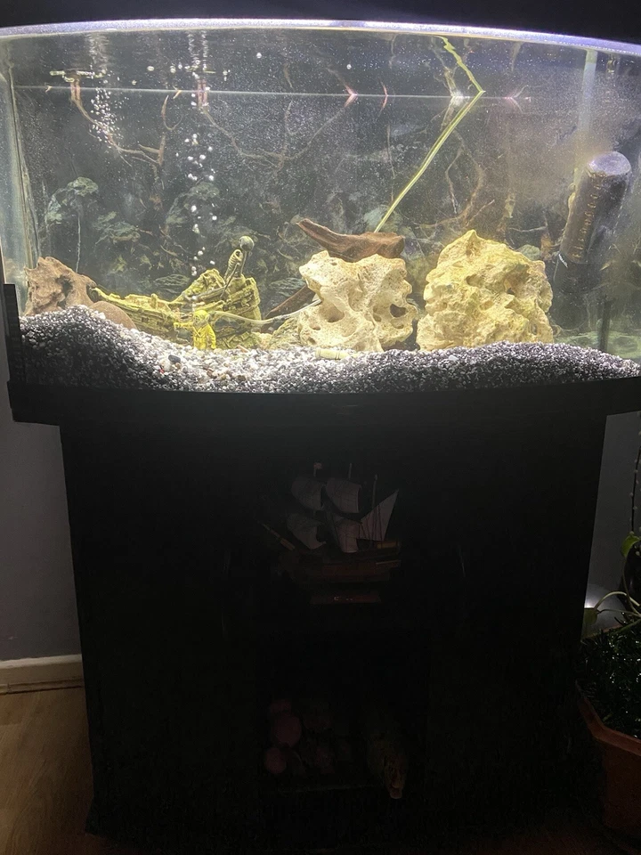 Juwel Large Aquarium Fish Tank with Cabinet stand and Accesories - Image 3 of 4