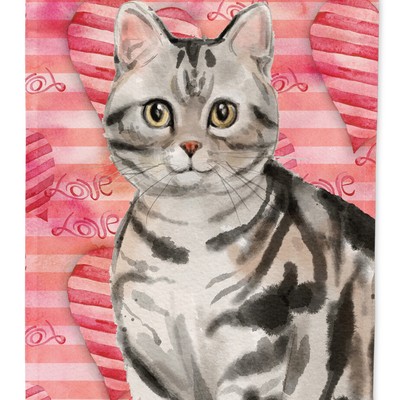 Multicolor Caroline's Treasures CK3028CHF American Shorthair Brown Tabby American Flag Flag Canvas House Size Large Multicolor Caroline's Treasures CK3028CHF American Shorthair Brown Tabby American Flag Flag Canvas House Size Large