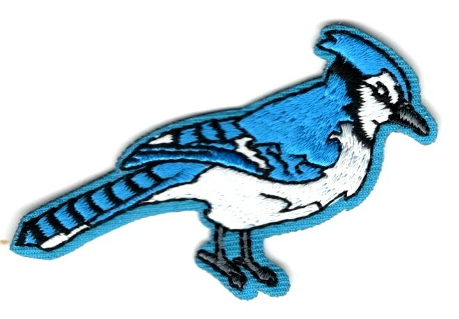BLUE JAY Iron On Patch Birds