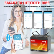 24V 12V 100Ah 230Ah 300Ah LiFePO4 Bluetooth Lithium battery BMS RV Solar Marine 