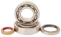 Hot Rods Kurbelwellenlager & Simmerringsatz FüR Gas Gas Ec 300 2021-23