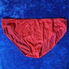 Vintage Nan Flower Panties Red Nylon Panty Medium Read Description
