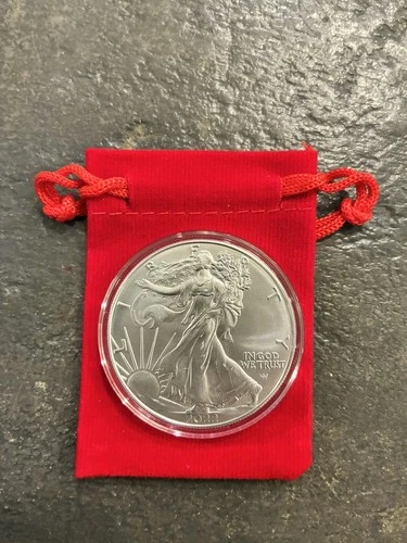 2022 American Silver Eagle 1 oz .999 Fine Silver BU #6