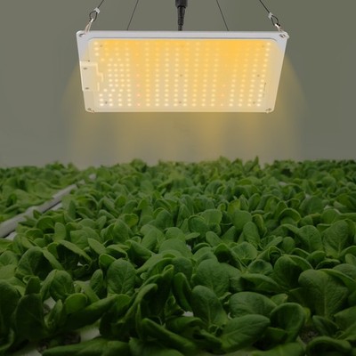 3x3 Ft Indoor Plant Growth High Coverage Grow Light 110w Full Spectrum Led
