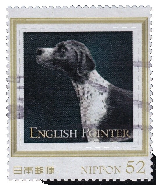 Perros Sellos japonés usado