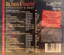 1233 BIG BRASSY   POCKET SONGS KARAOKE CDG  LOT MI