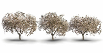 Woodland Scenics ~ Cherry Blossoms ~ 1-3/4'' to 2-1/4'' ~ 3 Pieces ~ TR3594