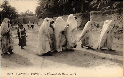 CPA AK ALGERIA La Promenad du Harem (1357578)
