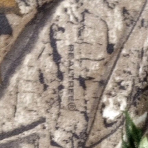 Picture 5 of 6
