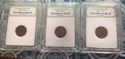 Lincoln Penny’s 3-Wheat Cents, SF Mint Slabbed,Encased Cents Circulated,INB S147