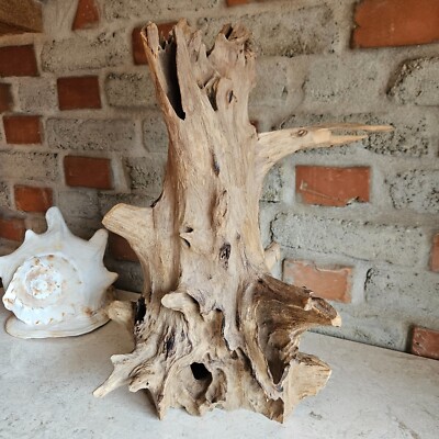 Teak Wurzelholz Skulptur Asia Garten Romantik Natur Blickfang Bali Indonesien