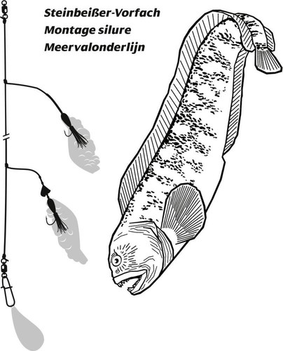 Rhino Steinbeisser-Vorfach Seewolf-System Naturköder-System Naturködervorfach - Bild 2 von 2