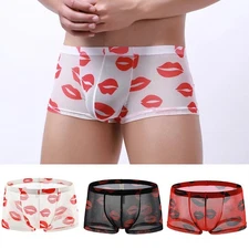 Sexy Men's Low Rise Sheer Underpants Translucent Lightweight Boxer Briefs