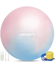 APEXUP Yoga Ball Exercise Ball Heavy Duty Gym Ball for Fitness Balance Core Sz M
