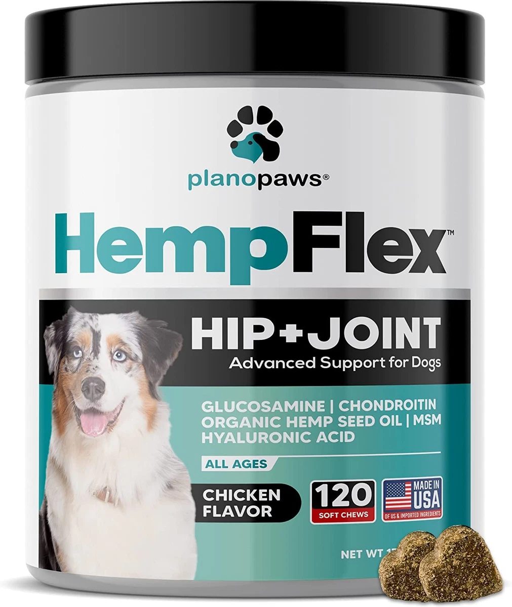 Glucosamine good for dogs top