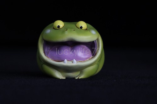 Rana Planeta Rana Realista Caja Ciega Colección Animal Rana Poisondartfrog Modelo de Regalo - Imagen 7 de 56
