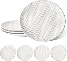 Dinner Plates 10 Inch, Ceramic Dish Set for Kitchen,  Set of 4, Arctic white