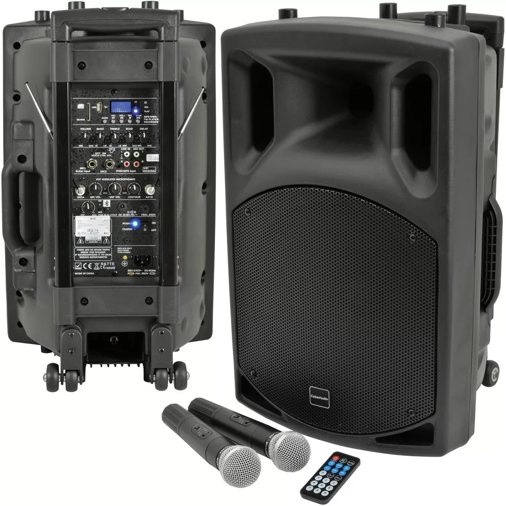 Portable speaker cheap with mic