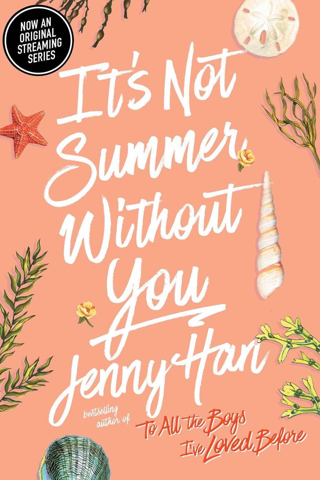 Thumbnail - It's Not Summer Without You Jenny Han