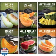 Melon Seeds Variety Pack   6 Heirloom Cantaloupe, Honeydew and Wa