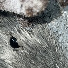 Bild 7 von 14