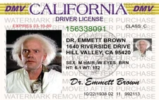 DOCTOR EMMETT BROWN BACK TO THE FUTURE PROP LICENSE