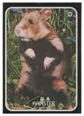 1975 TOPPS ZOO'S WHO #40 HAMSTER BVG