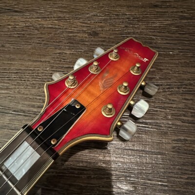 Aria ProII PE-DLX Electric Guitar Electric Guitar Aria Made in