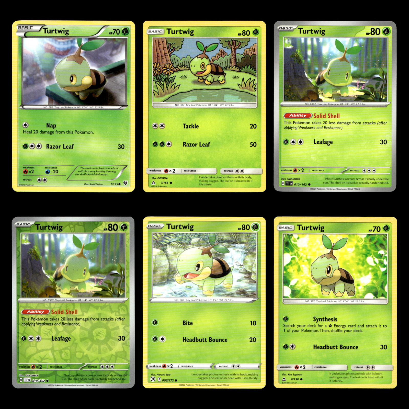 Turtwig Card 1.0 Black White Plasma Storm Pokemon Cards Collection Set TCG