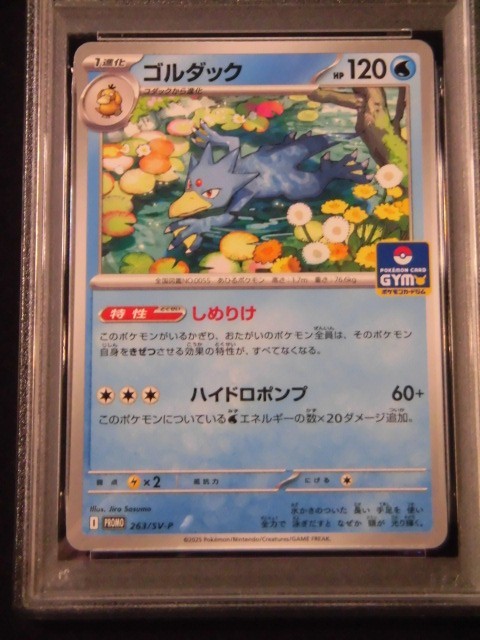 PSA 10 Pokemon Card Psyduck Golduck GYM Promo SEQ set 262/SV-P