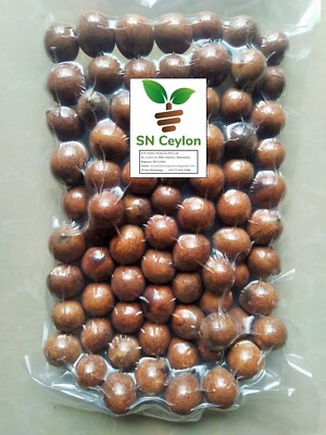Penaga Laut Tree  Domba Calophyllum inophyllum L. Domba Tamanu oil 100g-750g