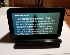 ebay amazon echo show