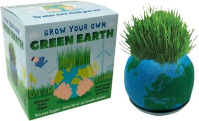 Grow Your Own Green Earth   Just add Water and watch it grow Fun Child Learning
