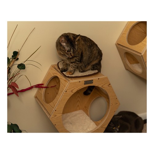 Armarkat Real Wood Wall Series: Set of Two Natural Wood Wall TreeAdditionsW2107A - Picture 13 of 14