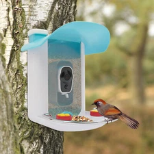 Solar Bird Feeder with Waterproof 1080p HD Camera Night Vision AI Recognition