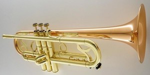 Carol Brass Cornet | eBay