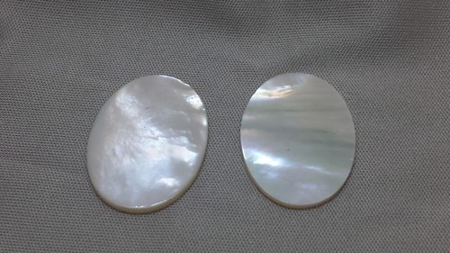 2 Stk. Weiße Perlmutt Muscheln