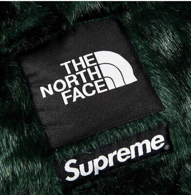 Supreme The North Face Faux Fur Nuptse Jacket FW20J4 Fall/Winter