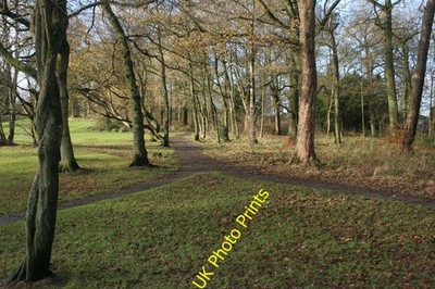 Foto A2 Wanderwege und Bäume, Kilmardinny Loch Milngavie Note the intert c2015