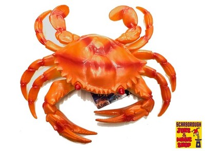 Orange Krabbe Kunststoff ~ ''lebensgroß'' 20 cm gefälschtes Spielzeug Requisite Modell Sealife Tier x1