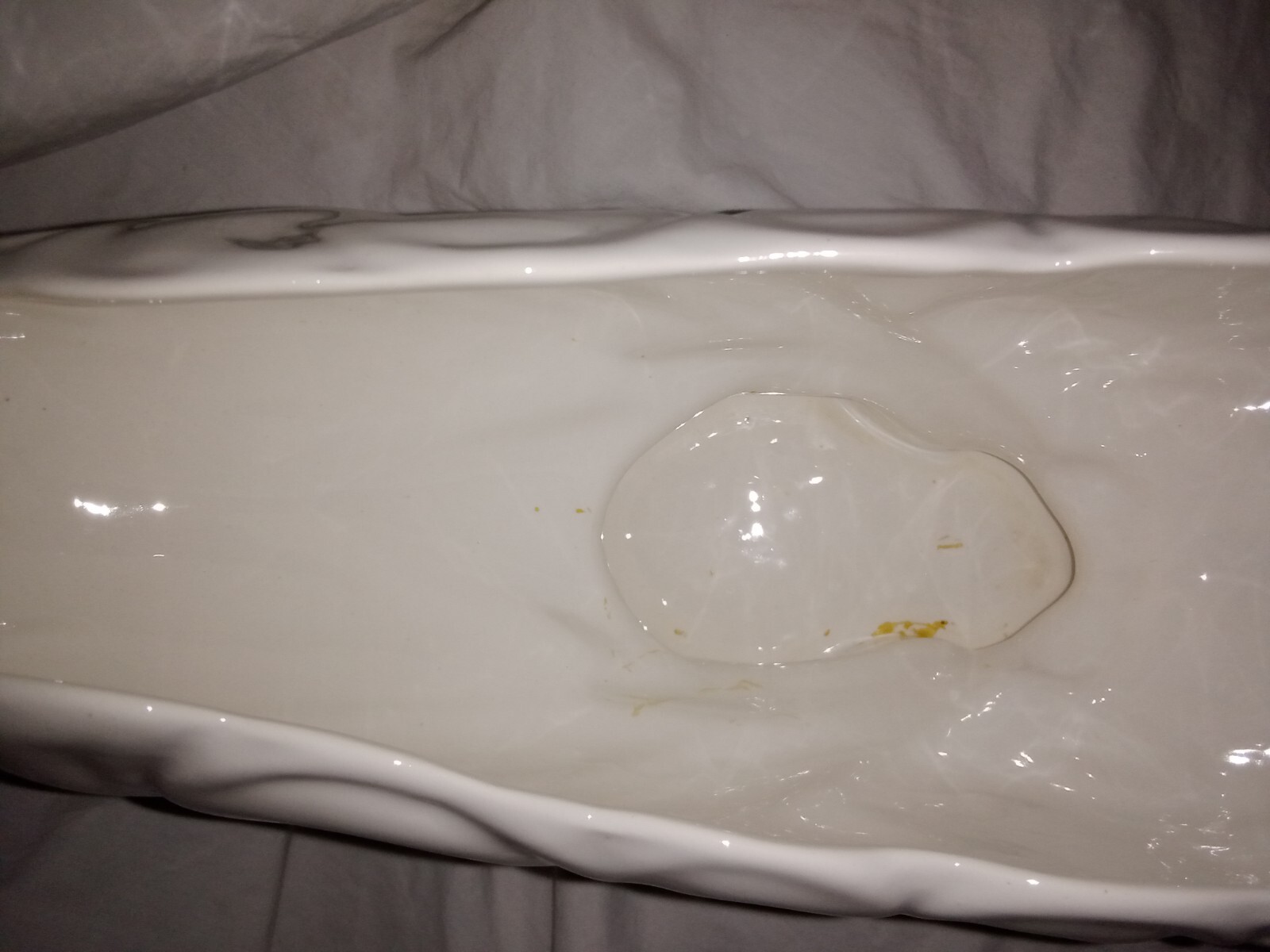 Picture 10 of 12