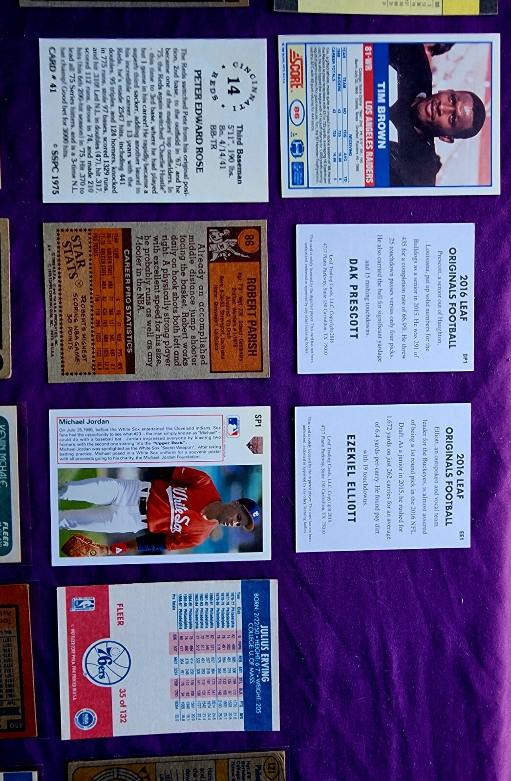 Picture 12 of 16