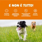Foto 5 di 12