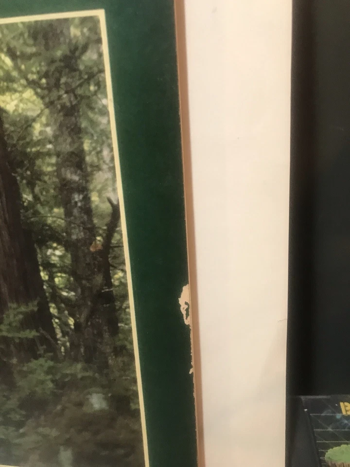 CoEVOLUTION  QUARTERLY No. 22 summer 1979 gd/excl - Image 2 of 4