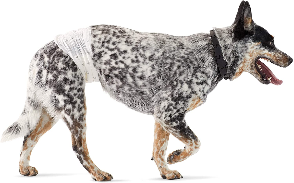 Pannolini Per Cani Maschi - Confezione Da 22 Pezzi Taglia Media - Foto 2