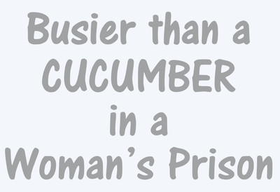 Busier Than A Cucumber Decal Sticker For Ford Chevy Dodge JDM Honda Mazda Truck