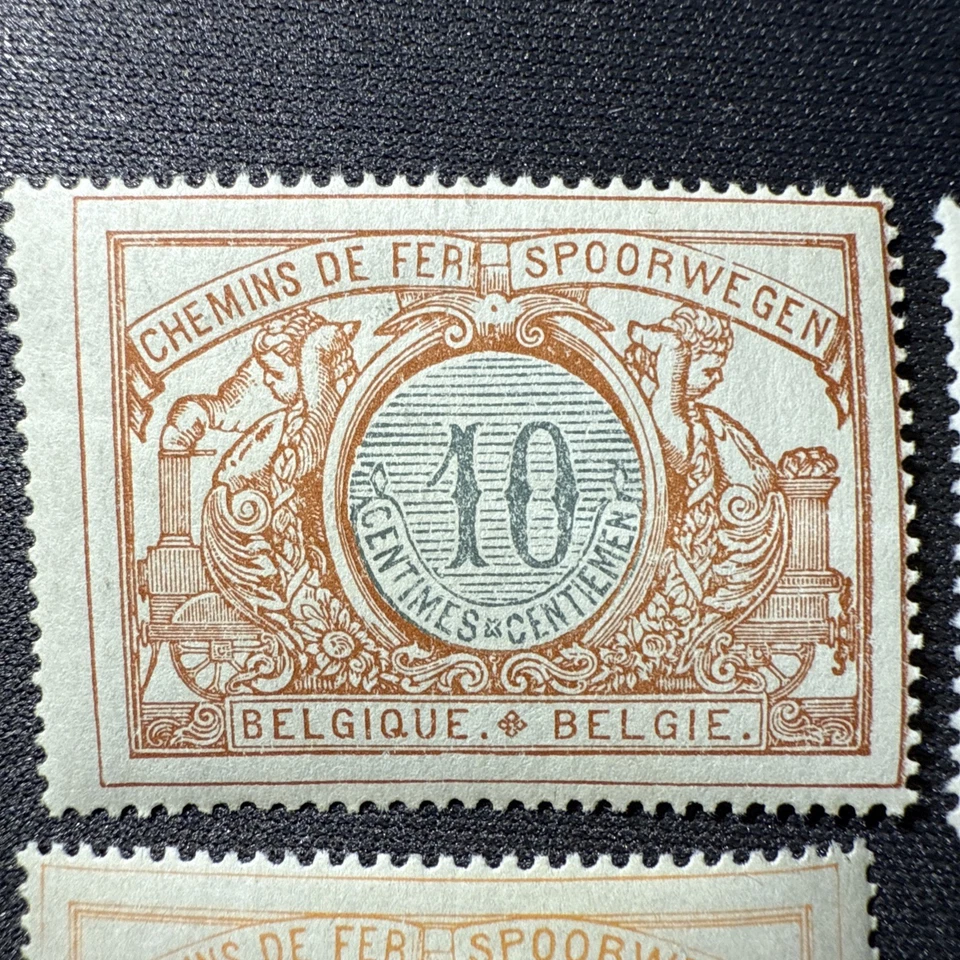 Lote de estampillas ferroviarias BÉLGICA - Lote de 10 estampillas postales paquete 1902 MH Foto 2 de 4