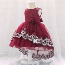 Baby Girls Lace Embroidered Princess Christening Party Dress