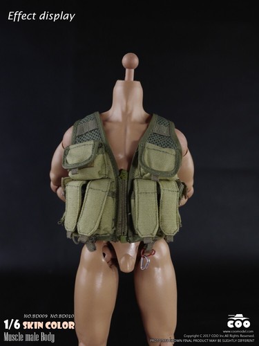 Coomodel 1/6 Stecker Standard Muscle BD008 Actionfigur Körperpuppe 12" Modellspielzeug - Bild 5 von 24